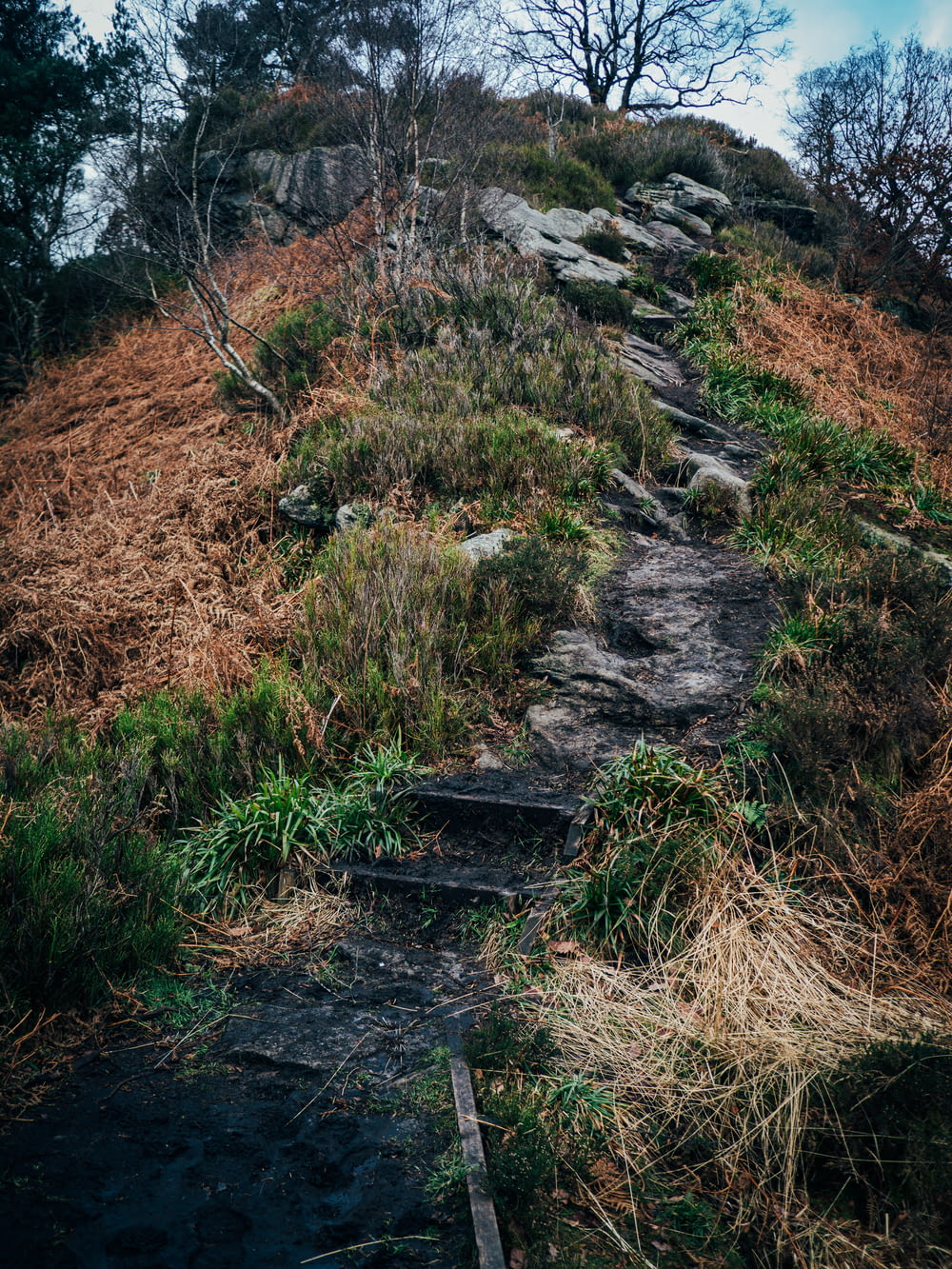 a set of steps leading up a hill