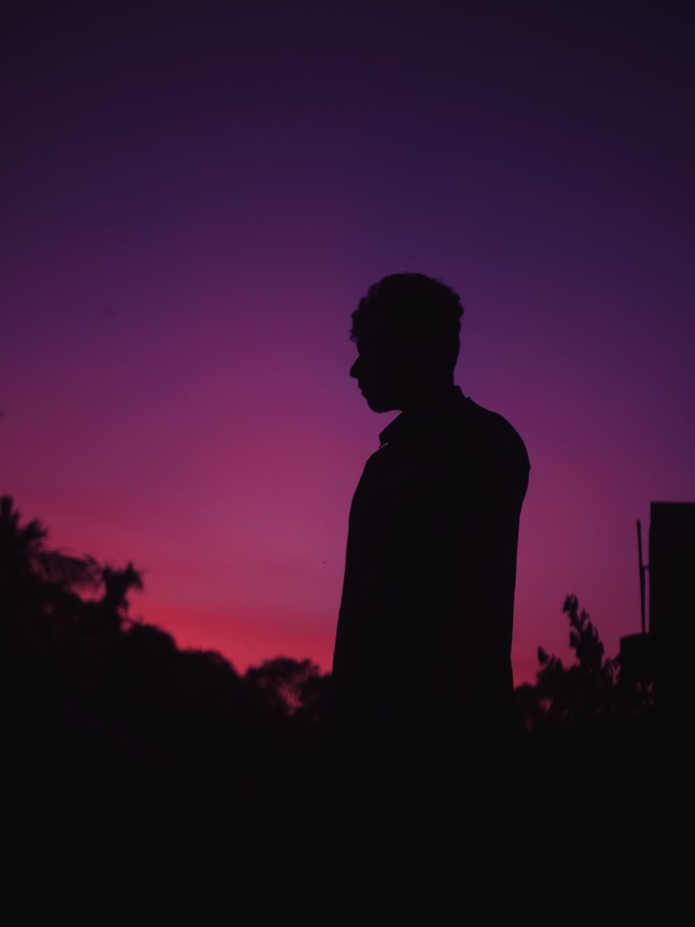 a silhouette of a man standing in front of a purple sky