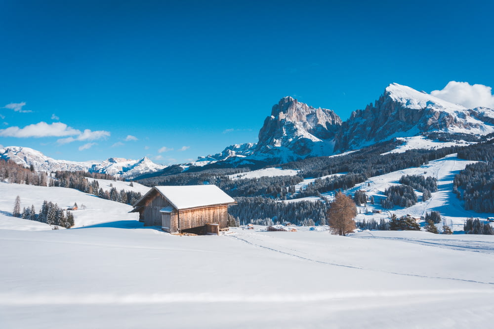 雪に覆われた山と前景に小屋