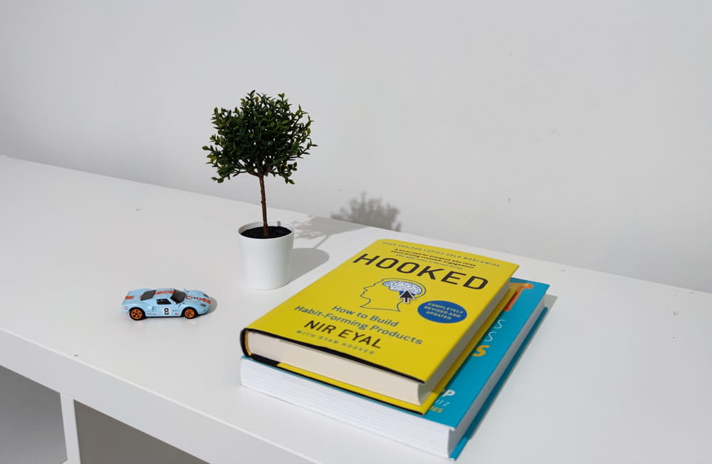 un tavolo con un libro e una pianta su di esso