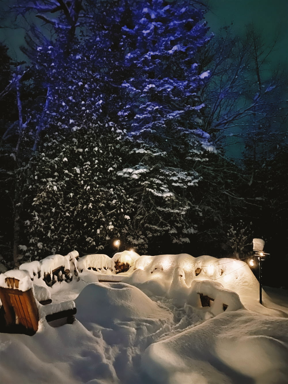 a night time scene of a snow covered yard