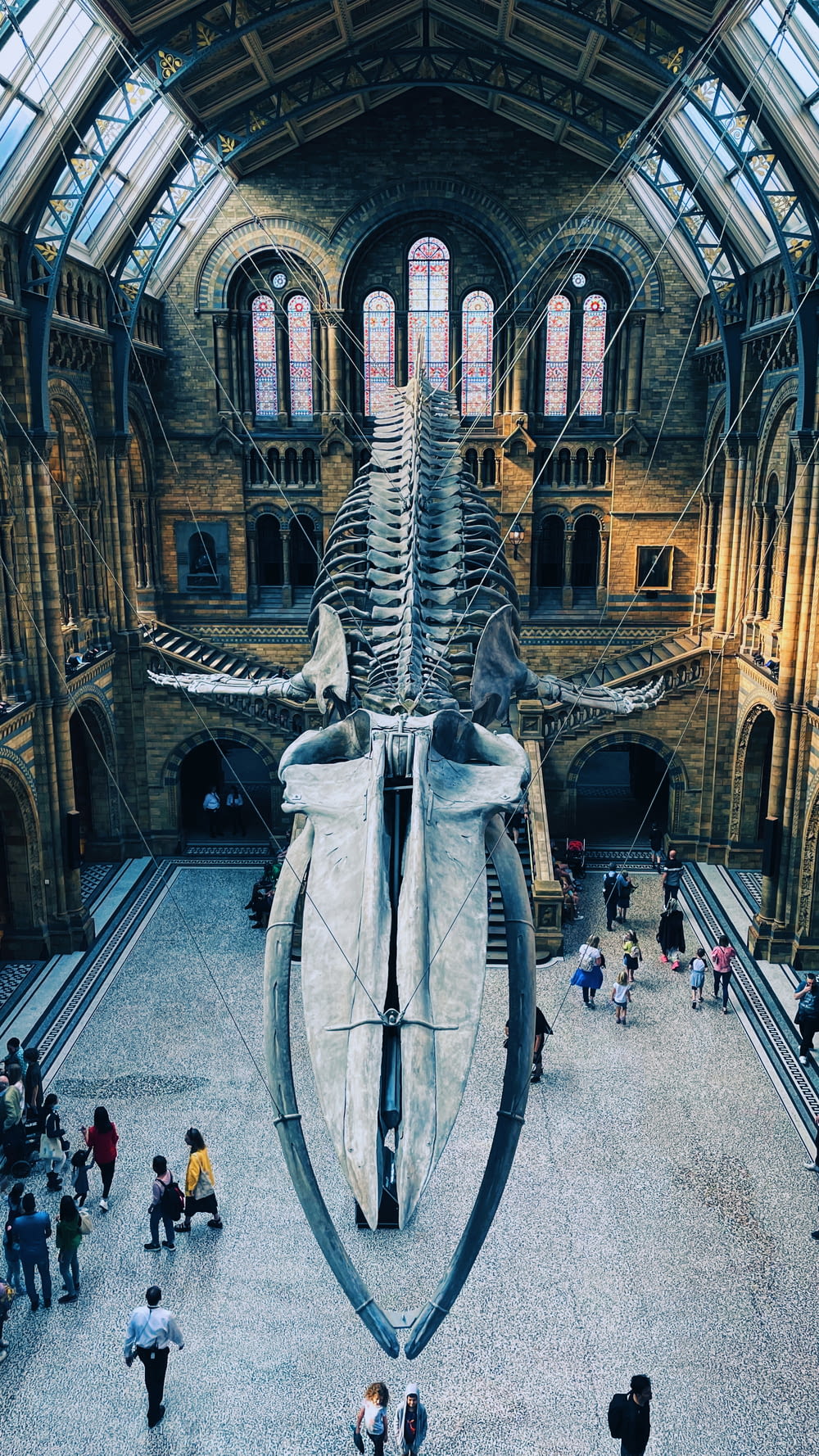 Un grande scheletro di balena in un museo con persone che camminano intorno