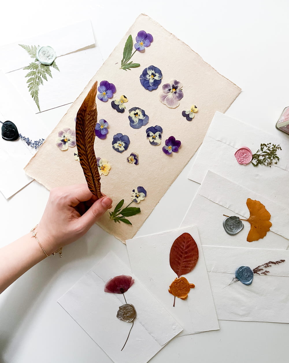 a person holding a feather over a bunch of pressed flowers