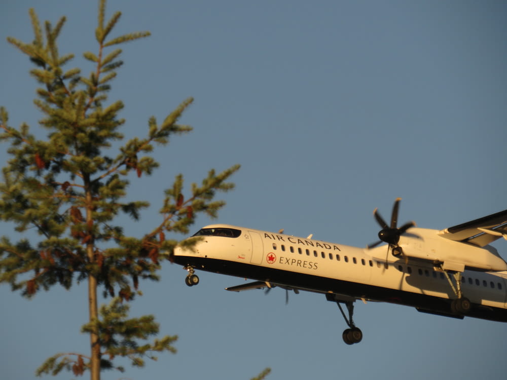 an airplane flying over a tree with its landing gear down