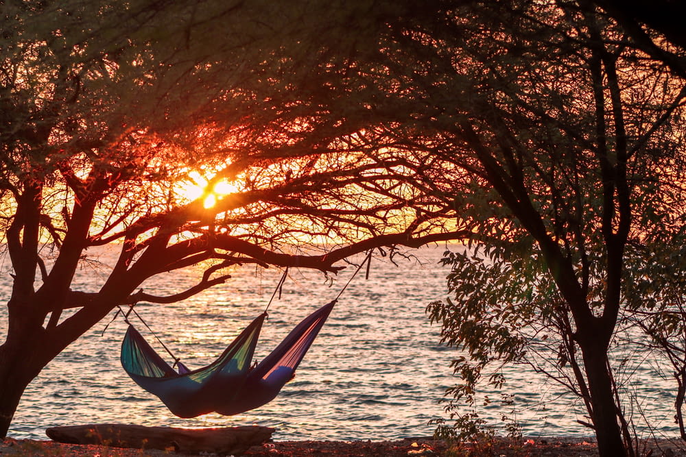 a hammock hanging from a tree in front of a body of water