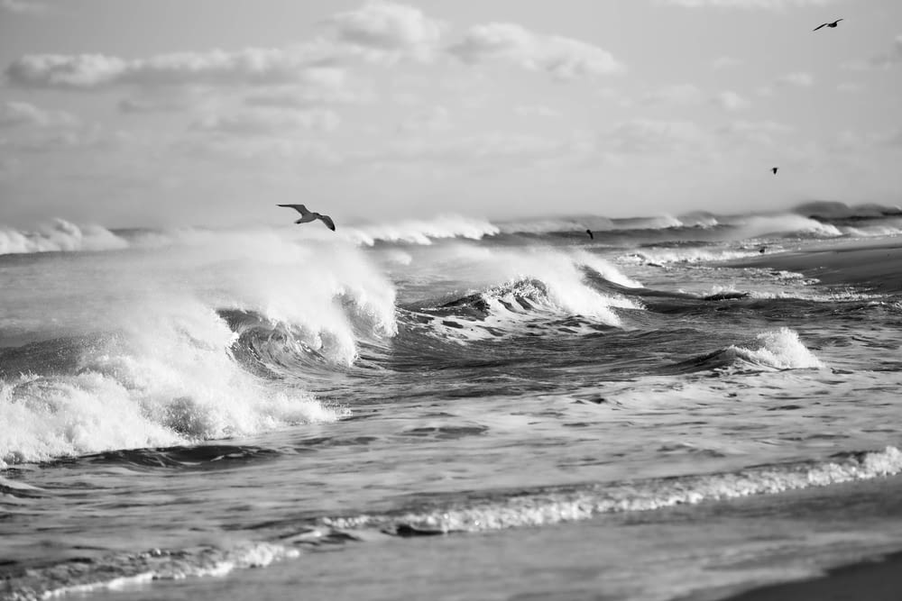 a black and white photo of birds flying over a wave