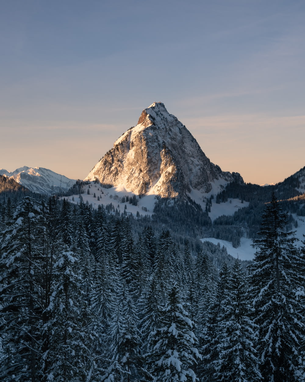 a mountain covered in snow surrounded by pine trees