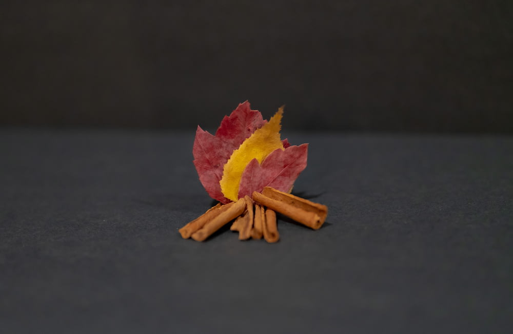 a pile of cinnamon sticks sitting next to a leaf