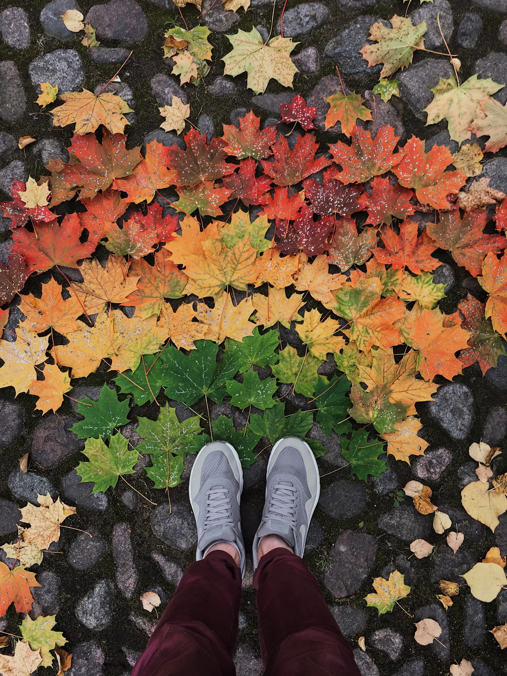 a person standing in front of a bunch of leaves