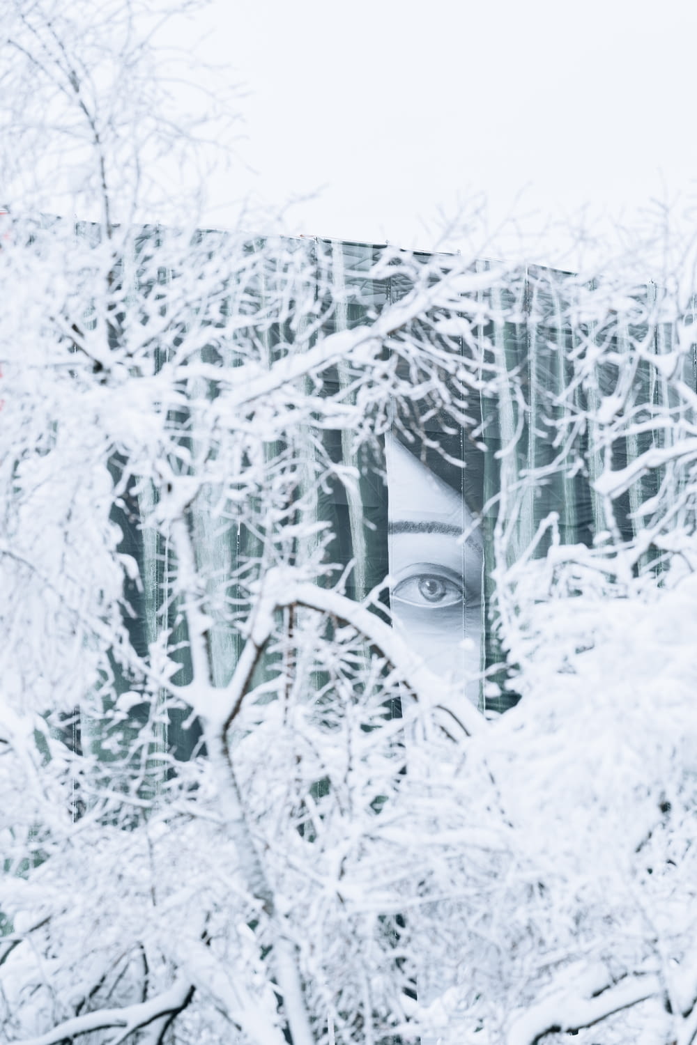 a picture of a woman's face through the branches of a tree