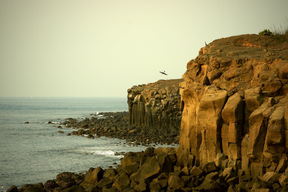 a bird flying over a rocky cliff next to the ocean