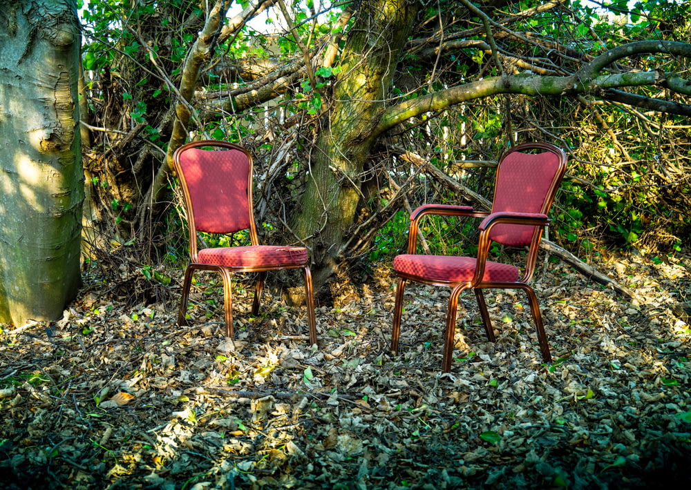 a couple of red chairs sitting next to a tree