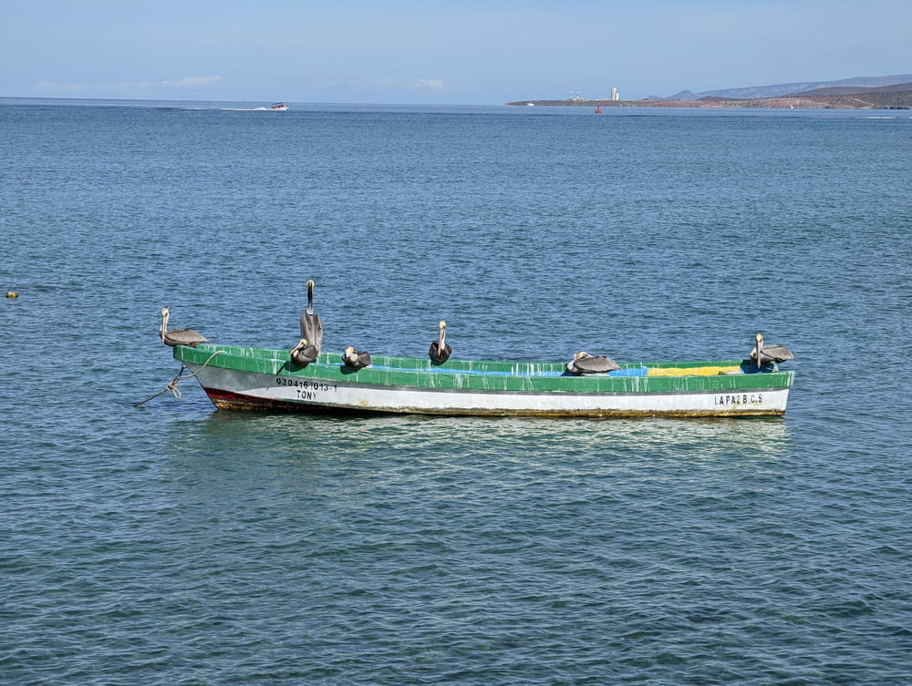 a green and white boat floating on top of a body of water