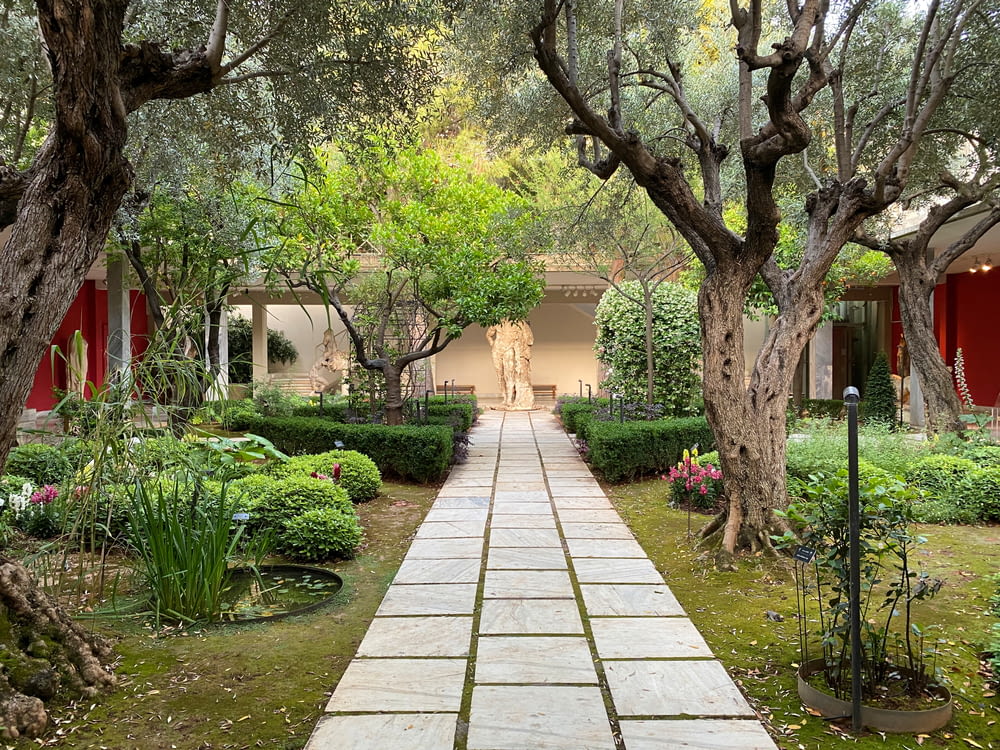 a walkway between two trees in a garden