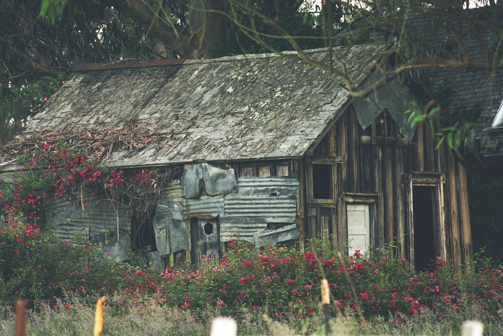 an old run down house in a field of flowers