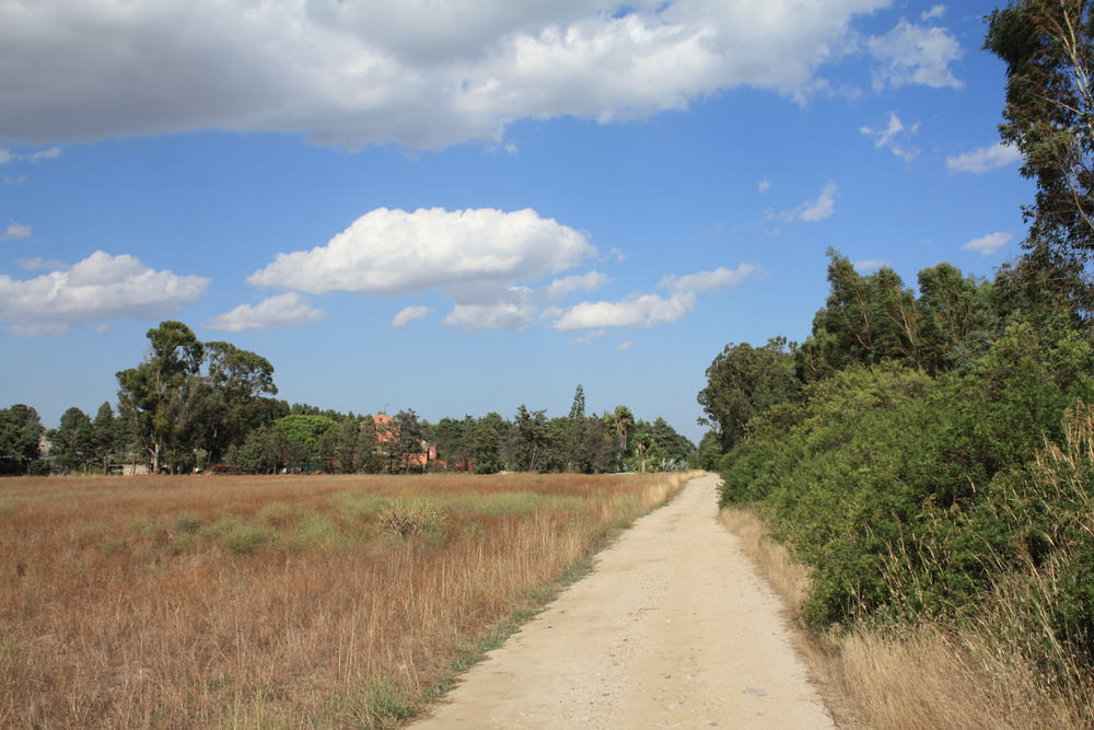 uma estrada de terra no meio de um campo