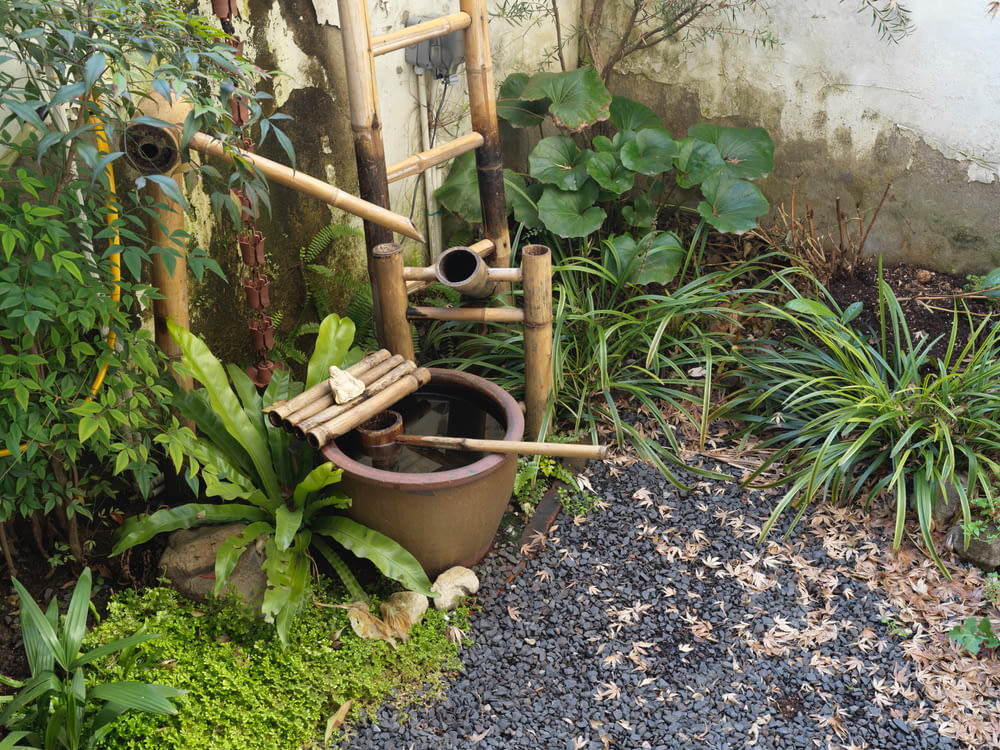 a garden with a toilet in the middle of it
