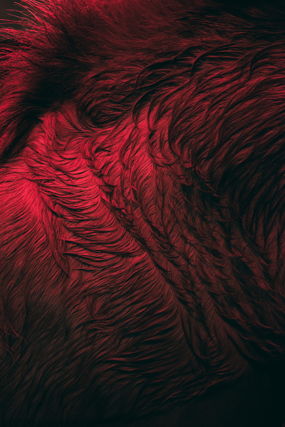 a close up of a red animal's fur