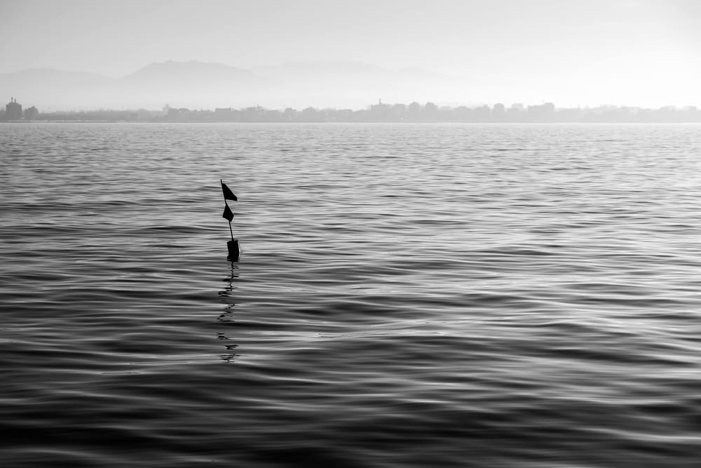 a black and white photo of a bird flying over a body of water