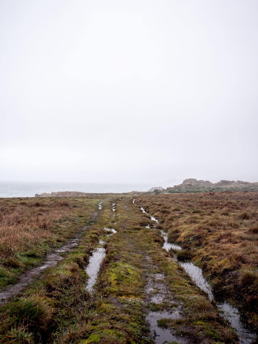 a muddy path in the middle of a grassy field
