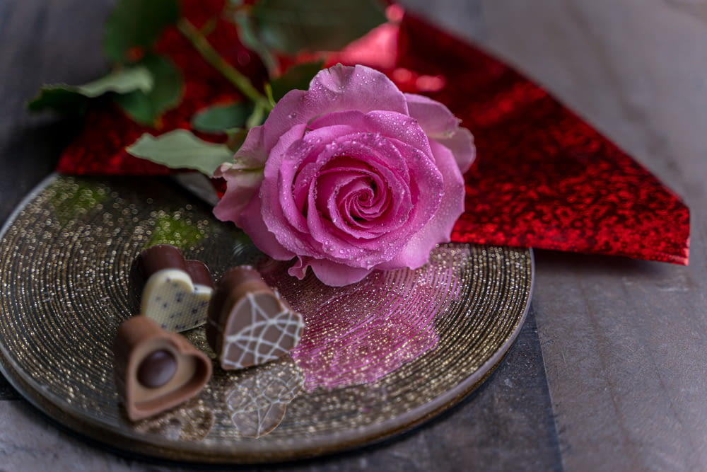 a pink rose sitting on top of a plate