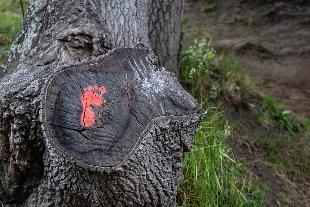 um toco de árvore com uma impressão de mão vermelha sobre ele
