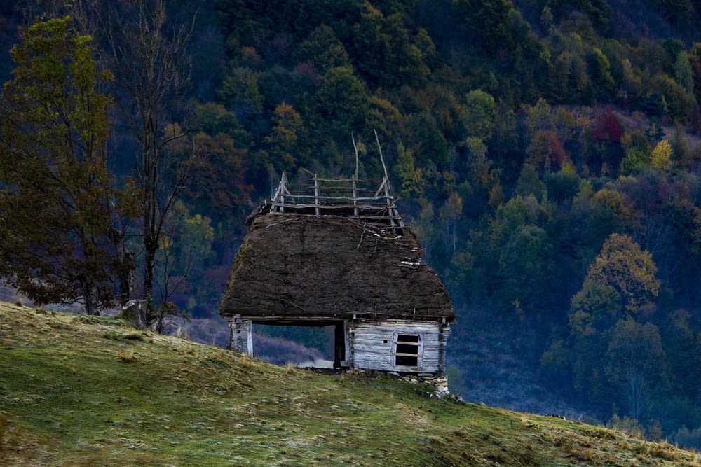 a house with a thatched roof on a hill