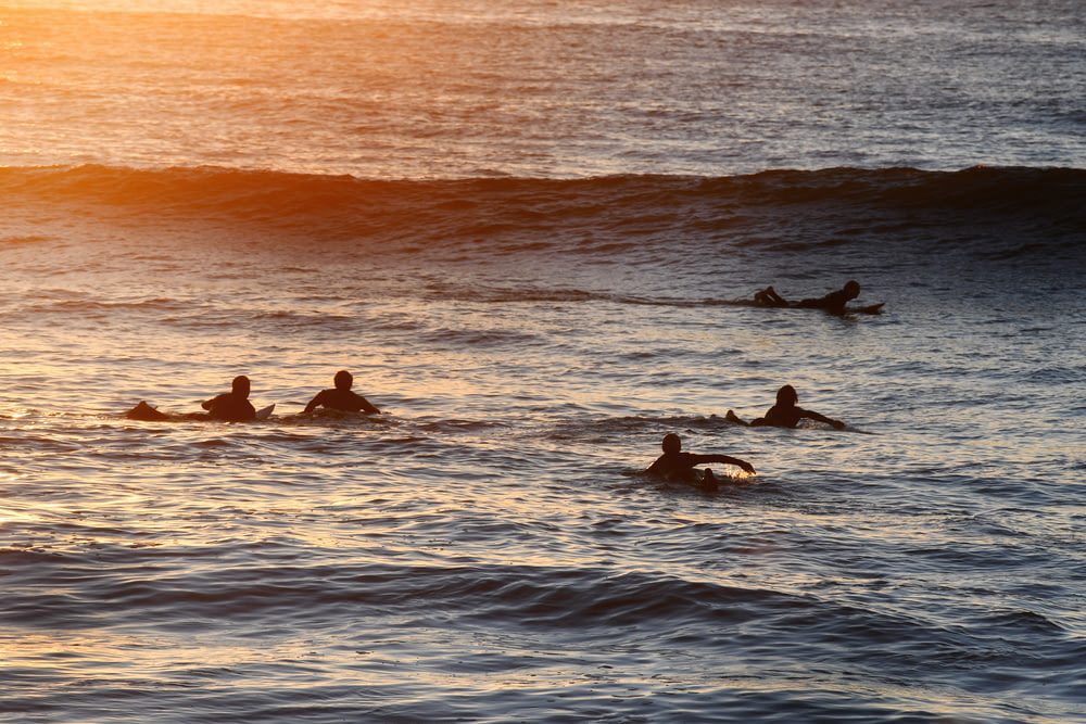 a group of people riding on top of surfboards in the ocean