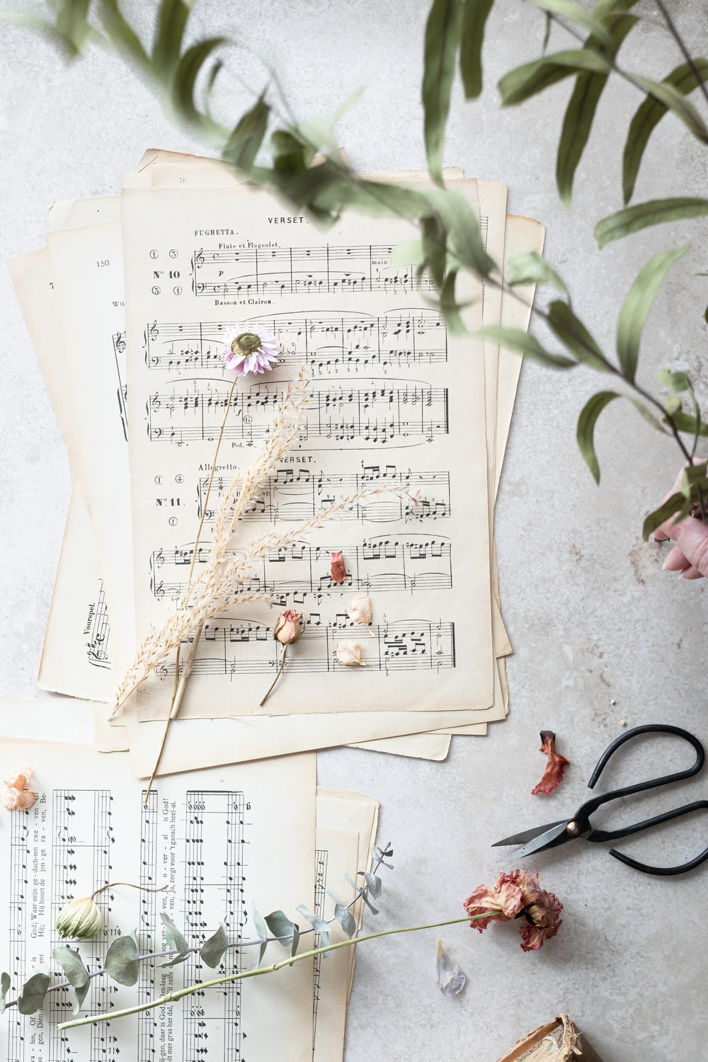 a sheet of music with flowers and a pair of scissors
