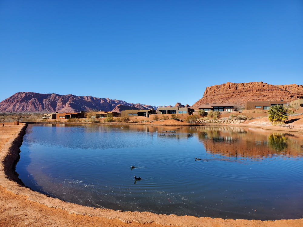 two ducks are swimming in a lake in the desert