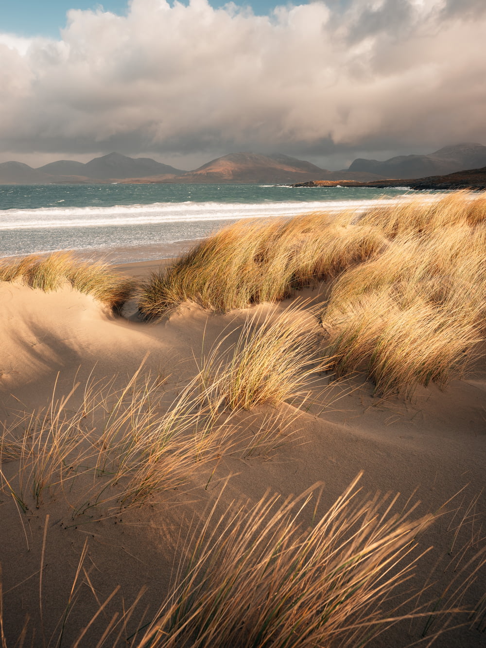 a sandy beach with grass and mountains in the background