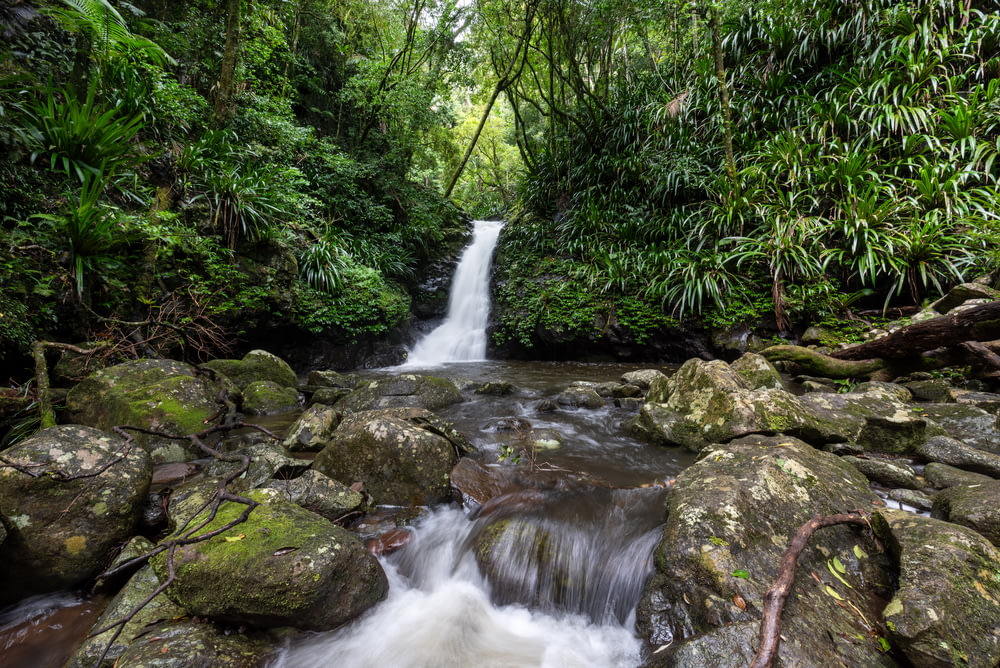Ein kleiner Wasserfall mitten im Dschungel