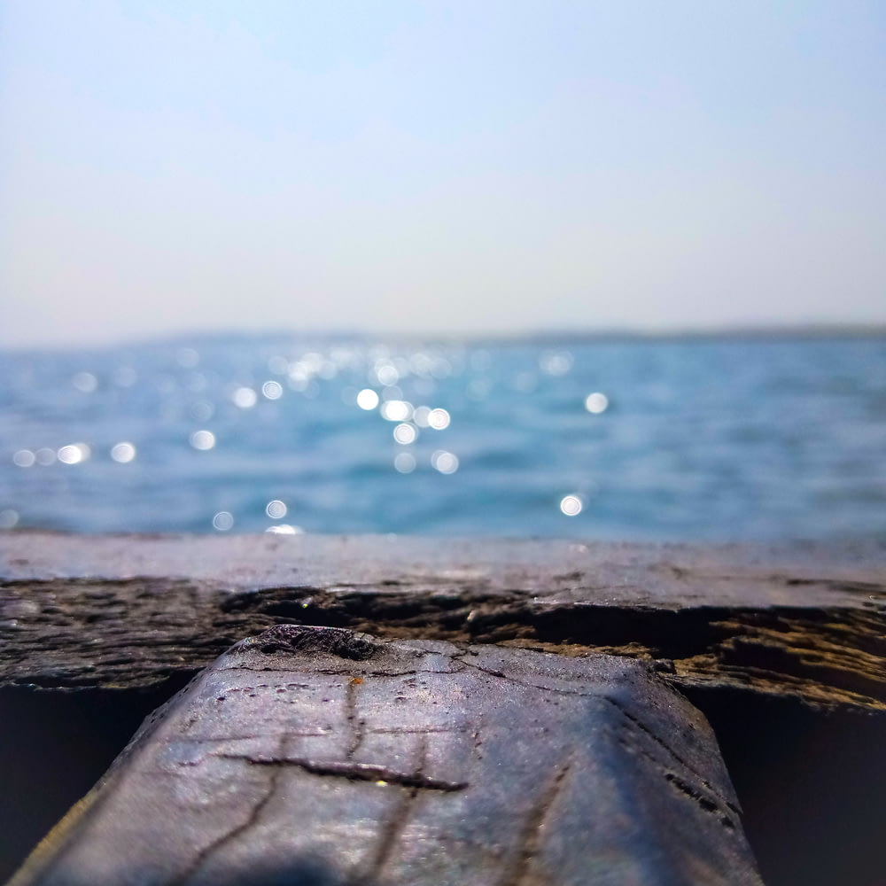 um close up de um pedaço de madeira com água no fundo