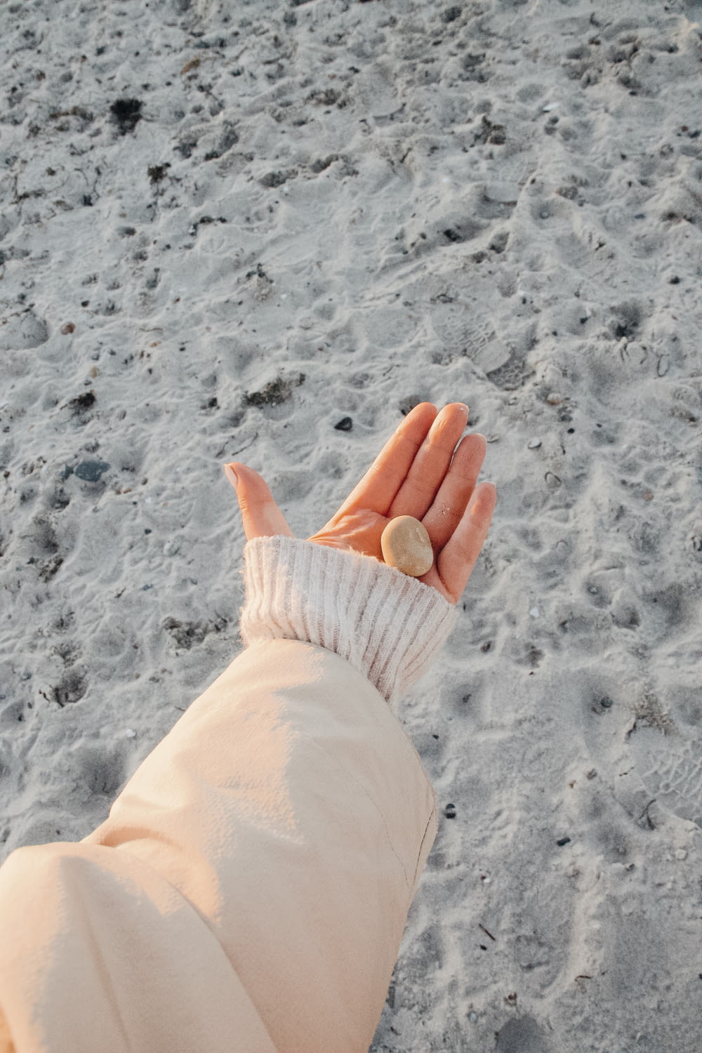 a person's hand holding a small object in the sand