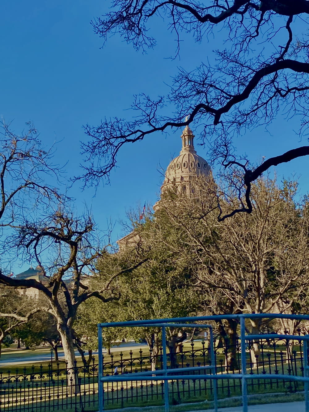 a view of the capitol building from across the park