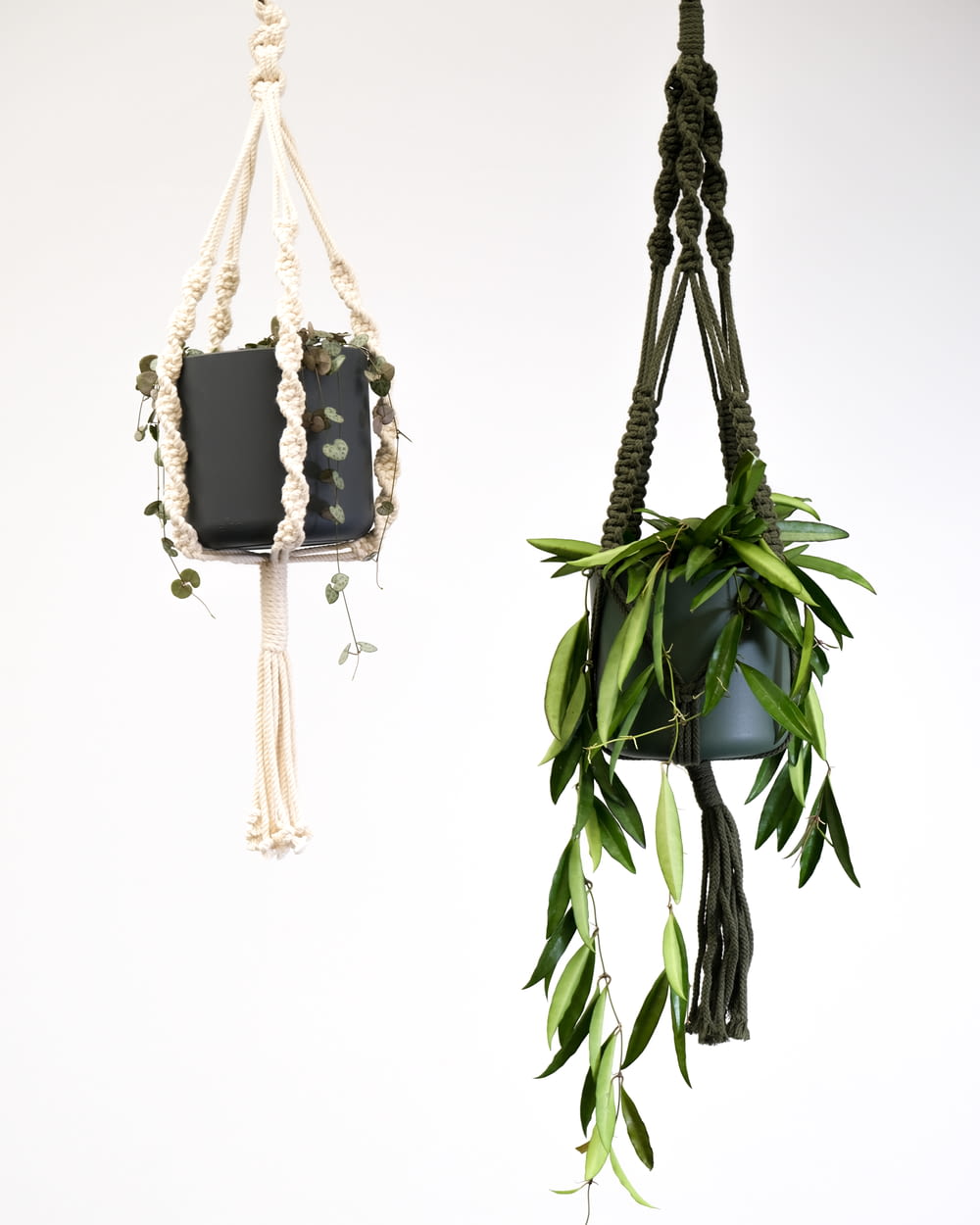 a plant hanging from a rope next to a hanging planter