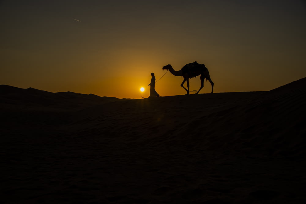 a man and a camel in the desert at sunset