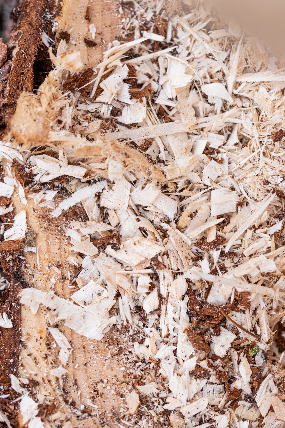 a pile of shredded wood shavings sitting on top of a table