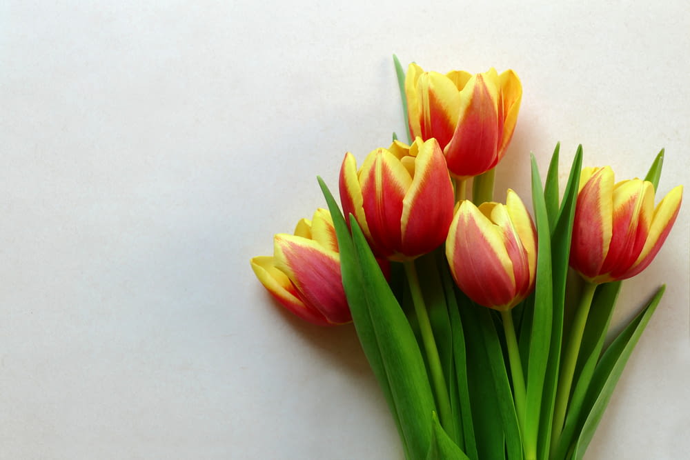 a vase filled with yellow and red tulips