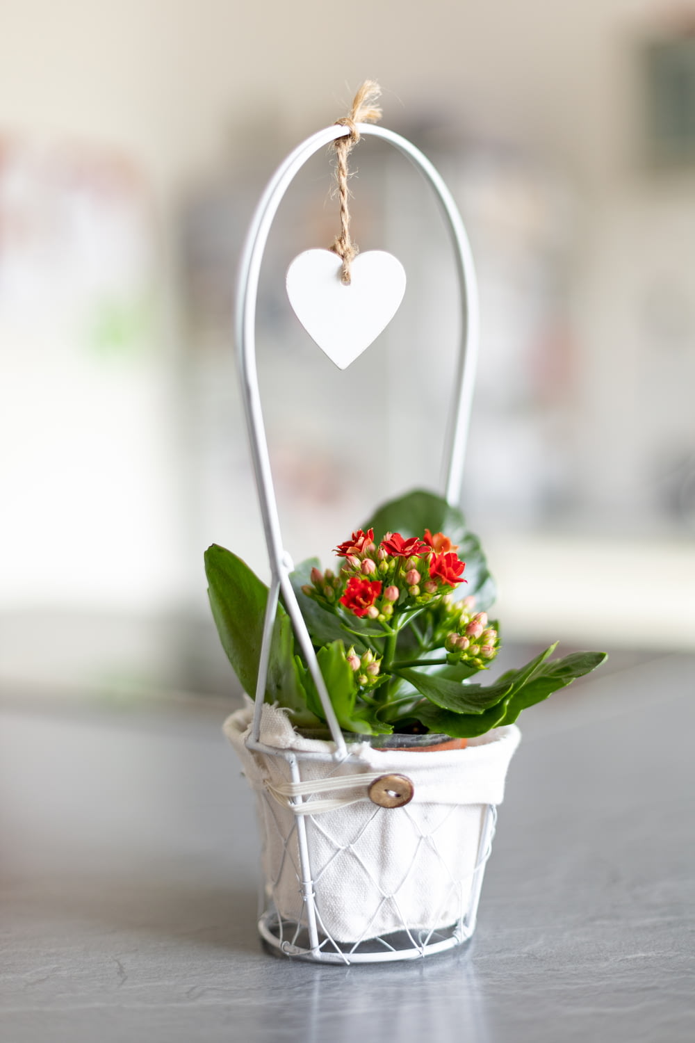 a potted plant with a heart hanging from it
