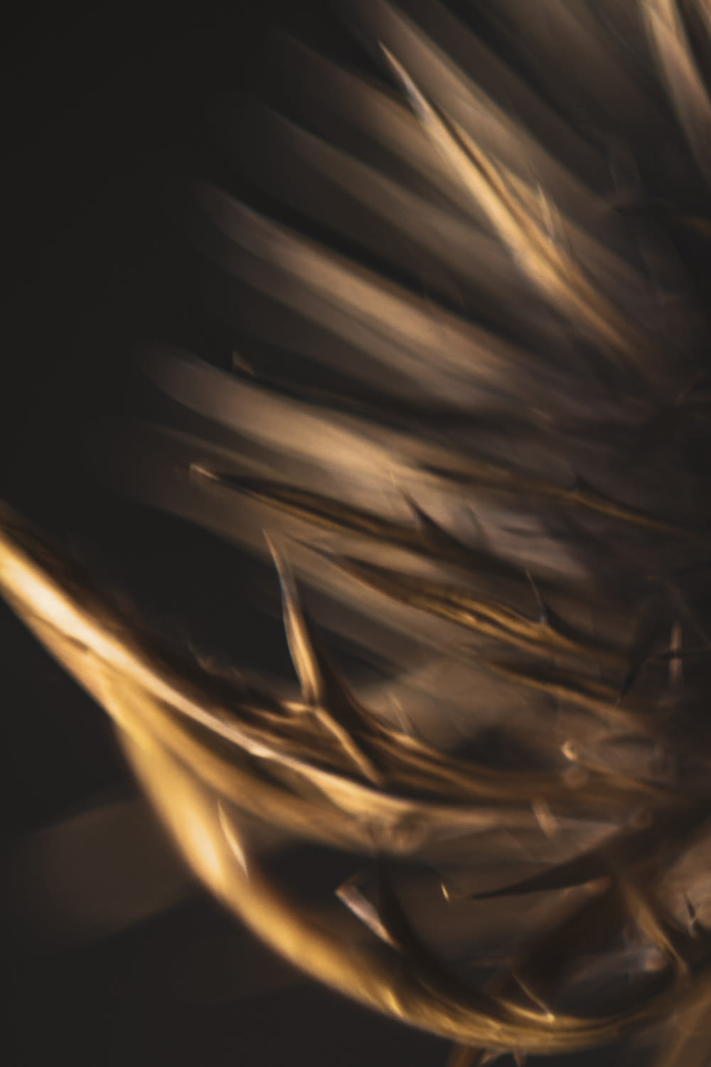 a blurry photo of a bird's feathers in flight