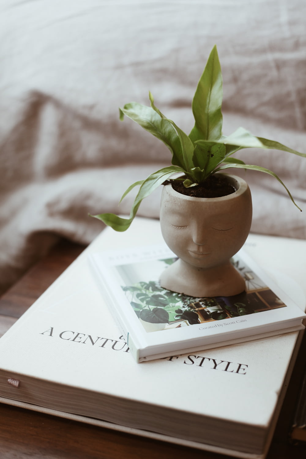 a book with a plant on top of it