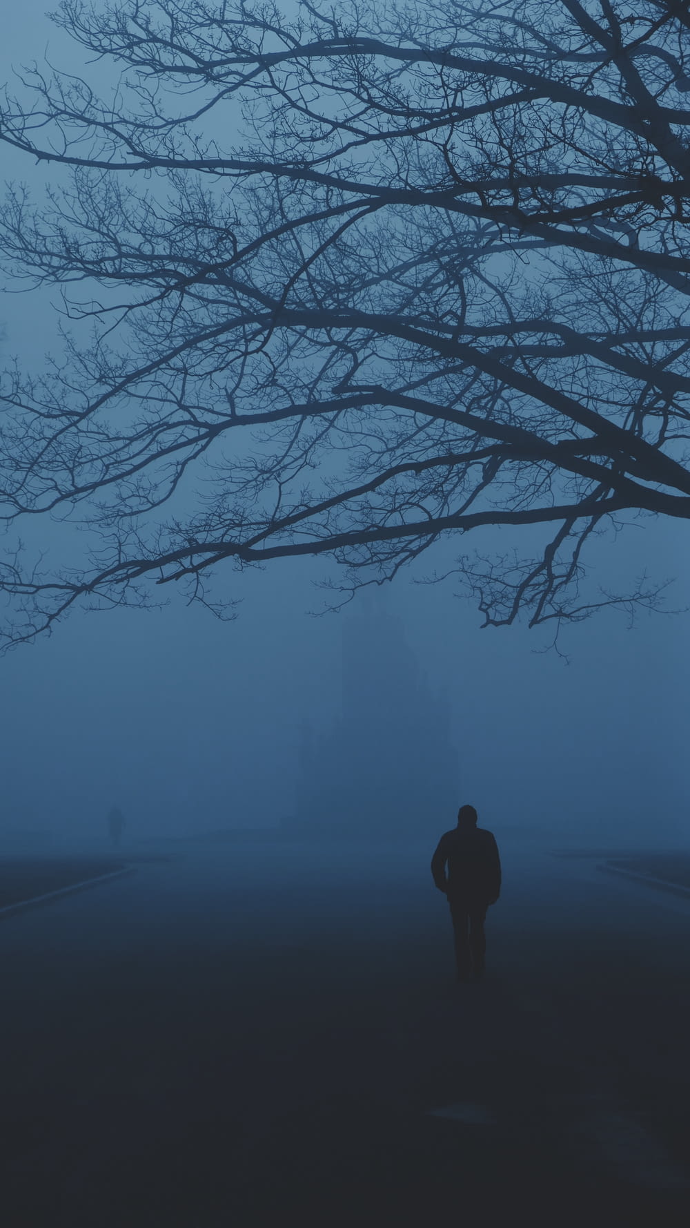 una persona in piedi nella nebbia vicino a un albero