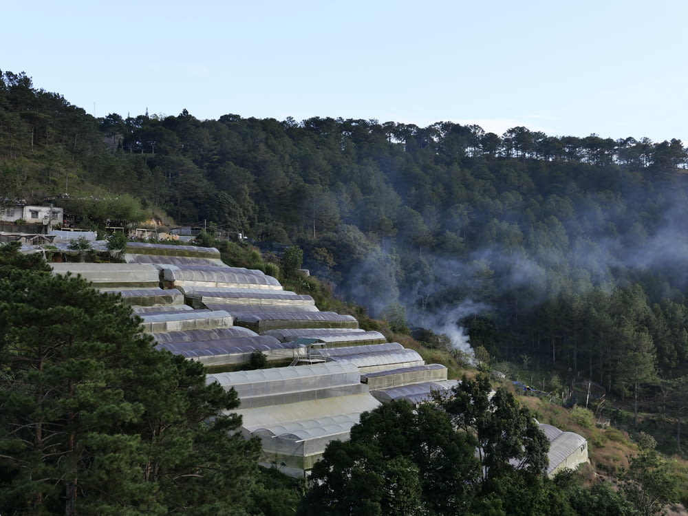smoke billows from the roof of a building in a forested area