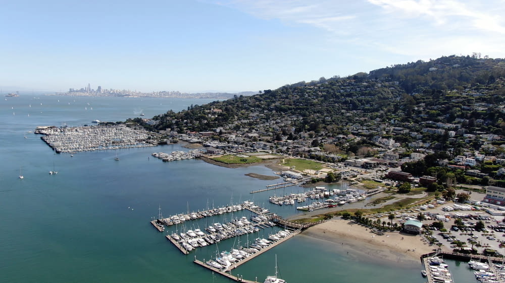 an aerial view of a marina and a city