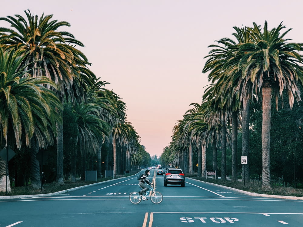 a person riding a bike down a street next to palm trees