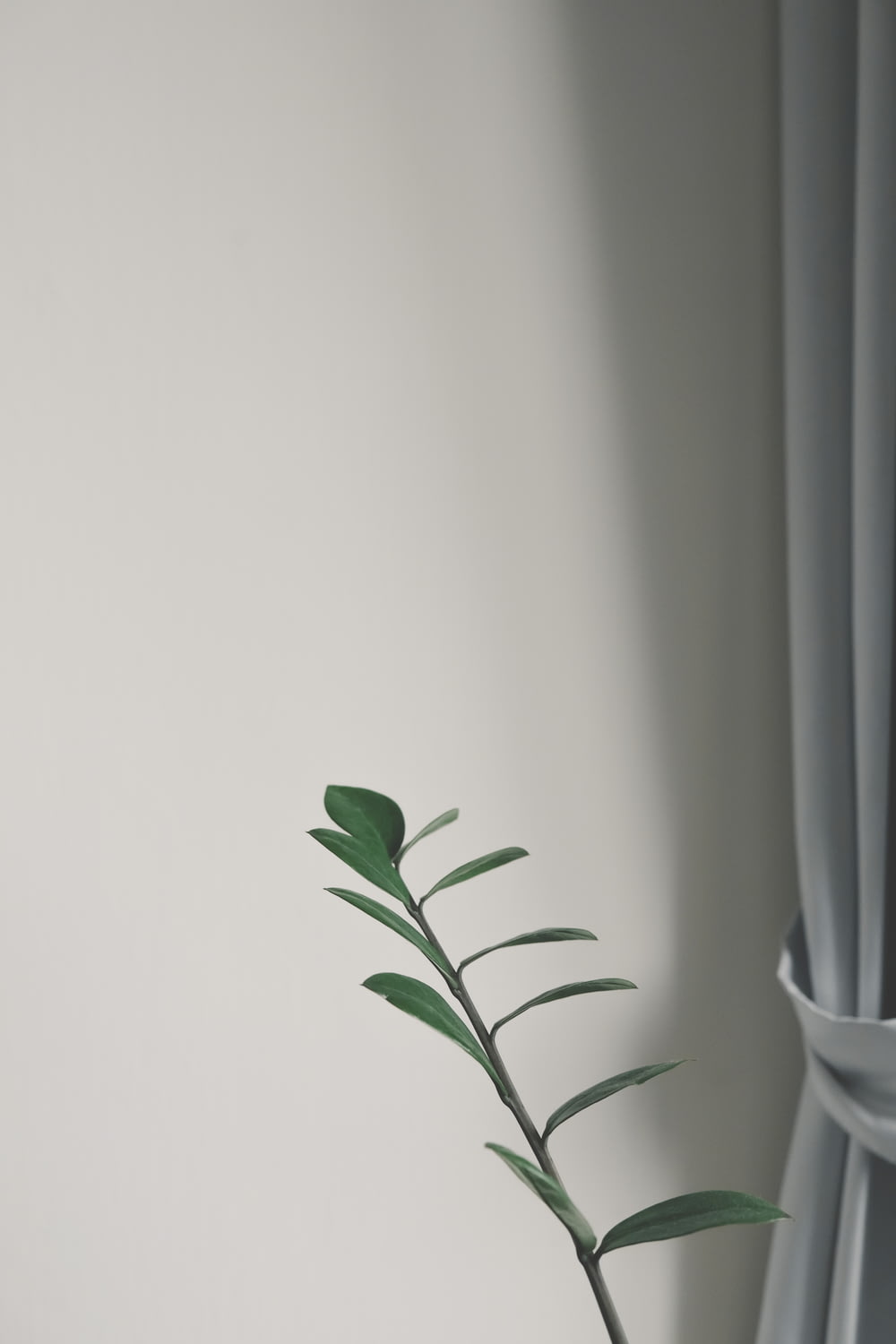 a vase sitting on top of a green plant