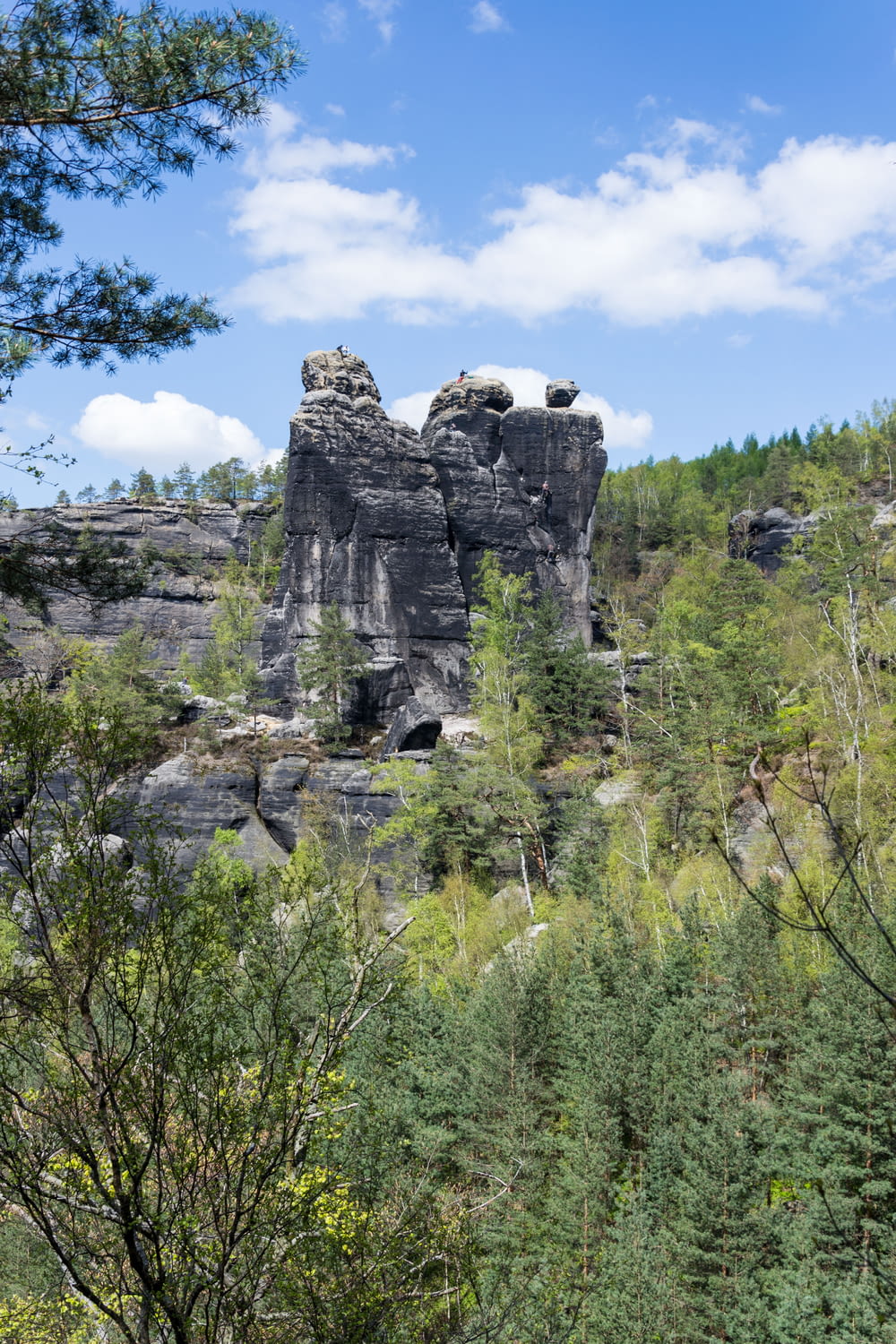 a large rock formation in the middle of a forest