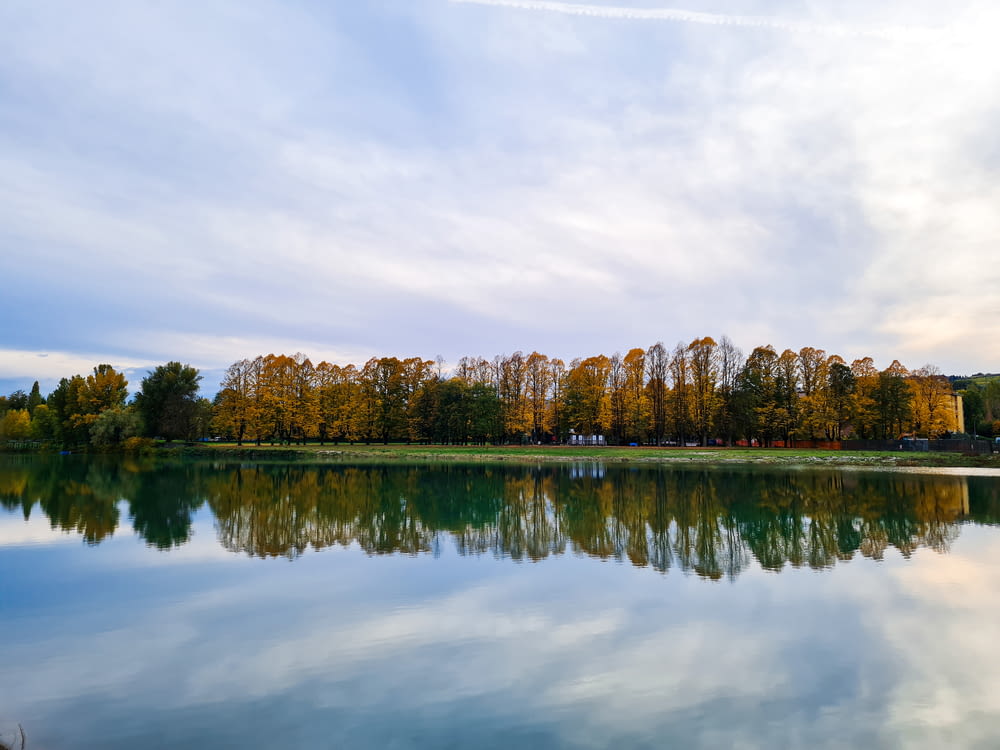 a body of water with trees in the background