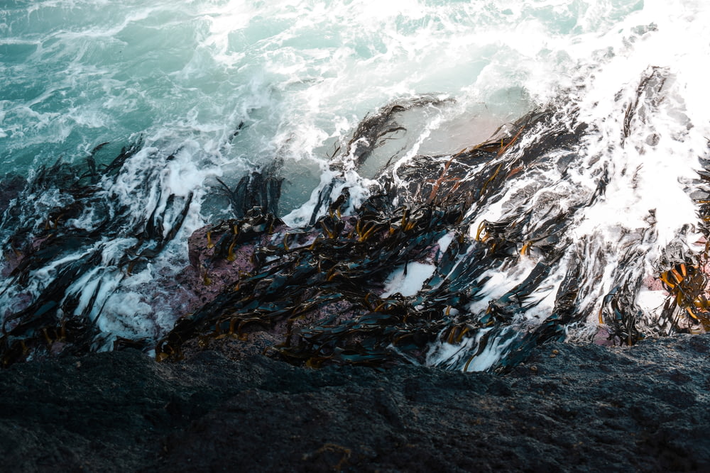 a wave crashing over a rocky shore next to the ocean